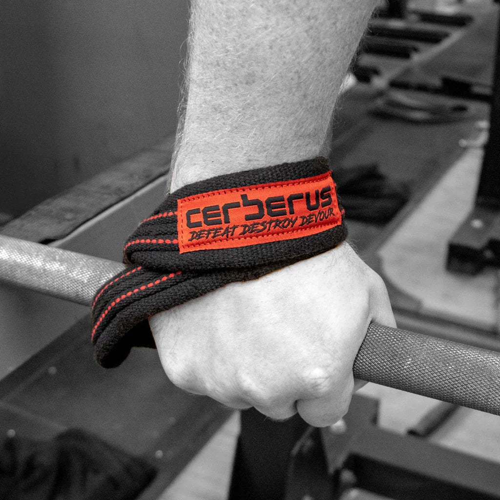 Cerberus Elite Figure 8 liftings straps